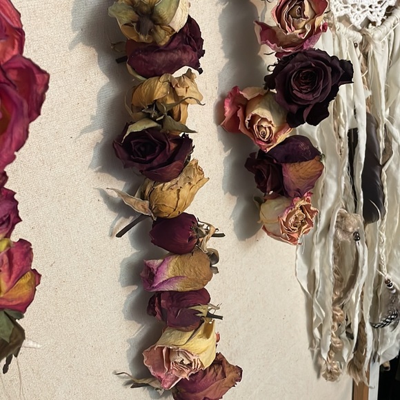Dried 🥀 Roses - Picture 7 of 9